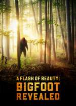 Watch A Flash of Beauty: Bigfoot Revealed Vidbull