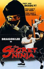 Watch Secret Ninja Vidbull