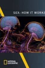 Watch Sex How It Works Vidbull
