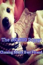 Watch The 60,000 Puppy: Cloning Man's Best Friend Vidbull