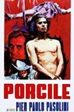 Watch Porcile Vidbull