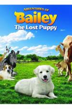 Watch Adventures of Bailey The Lost Puppy Vidbull