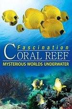 Watch Fascination Coral Reef: Mysterious Worlds Underwater Vidbull