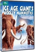 Watch Woolly Mammoth: Secrets from the Ice Vidbull