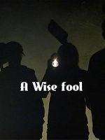 Watch A Wise Fool Vidbull