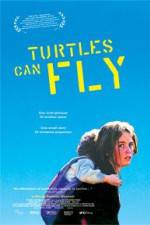 Watch Turtles Can Fly Vidbull
