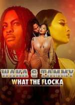 Watch Waka & Tammy: What the Flocka Vidbull
