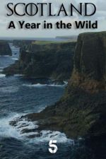 Watch Scotland: A Wild Year Vidbull