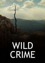 Watch Wild Crime Vidbull