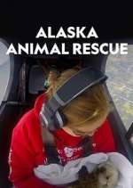 Watch Alaska Animal Rescue Vidbull