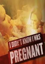 Watch I Didn't Know I Was Pregnant Vidbull