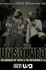 Watch Unsolved: The Murders of Tupac and the Notorious B.I.G. Vidbull