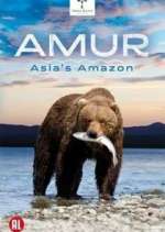 Watch Amur Asia's Amazon Vidbull