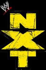WWE NXT vidbull
