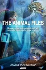 Watch The Animal Files Vidbull