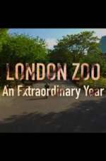 Watch London Zoo: An Extraordinary Year Vidbull