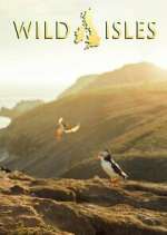 Watch Wild Isles Vidbull