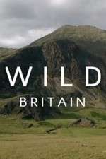 Watch Wild Britain Vidbull