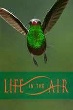 Watch Life in the Air Vidbull
