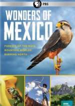 Watch Wonders of Mexico Vidbull