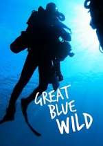 Watch Great Blue Wild Vidbull