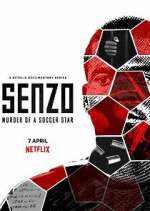 Watch Senzo: Murder of a Soccer Star Vidbull