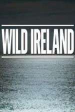 Watch Wild Ireland Vidbull