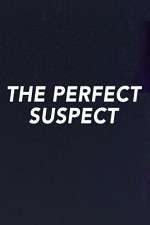 Watch The Perfect Suspect Vidbull