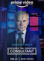 Watch The Consultant Vidbull