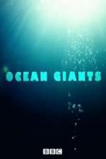 Watch Ocean Giants Vidbull