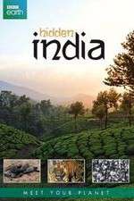 Watch Hidden India Vidbull