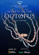 Secrets of the Octopus vidbull
