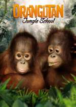 Watch Orangutan Jungle School Vidbull