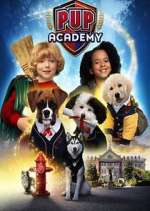 Watch Pup Academy Vidbull
