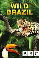 Watch Wild Brazil Vidbull