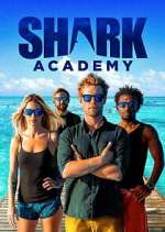 Watch Shark Academy Vidbull