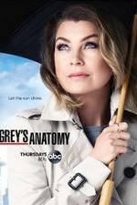 Grey's Anatomy vidbull