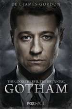 Watch Gotham Vidbull
