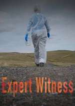 Watch Expert Witness Vidbull