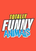 Watch Totally Funny Animals Vidbull