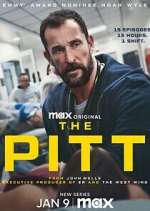 The Pitt vidbull
