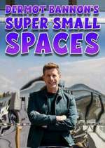 Watch Dermot Bannon's Super Small Spaces Vidbull