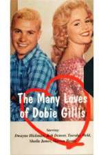 Watch The Many Loves of Dobie Gillis Vidbull