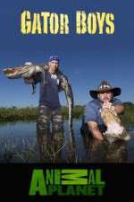 Watch Gator Boys Vidbull