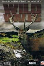 Watch Wild Wales Vidbull