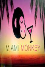 Watch Miami Monkey Vidbull