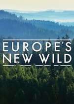 Watch Europe's New Wild Vidbull