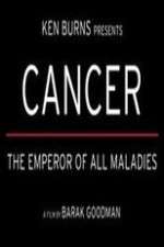 Watch Cancer: The Emperor of All Maladies Vidbull