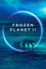 Watch Frozen Planet II Vidbull
