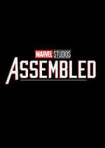 Marvel Studios: Assembled vidbull